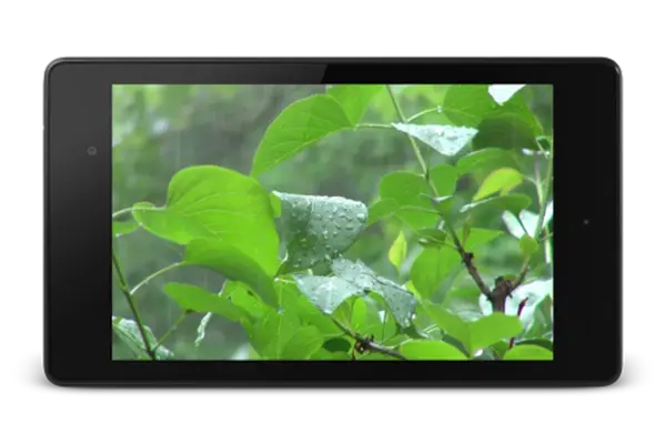 Rainstorm Video Live Wallpaper android App screenshot 0