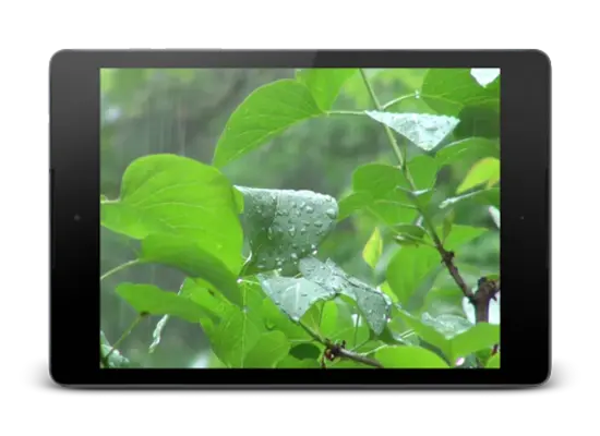 Rainstorm Video Live Wallpaper android App screenshot 2