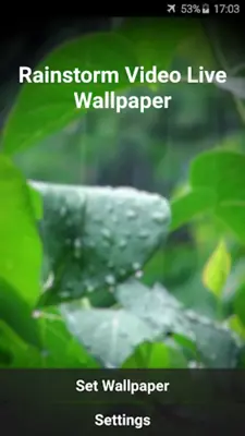 Rainstorm Video Live Wallpaper android App screenshot 4